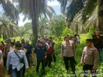 Pemerintah dan Aparat Kolaborasi Tegaskan Tapal Batas Rohil - Rohul, Cegah Konflik Lahan Berulang
