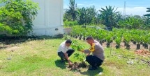 Green Policing Hadir di Labuhan Papan, Polisi Ajak Warga Tanam Pohon di Pekarangan Rumah