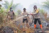 Kapolres Rohil Padamkan Karhutla di Tanah Putih Saat Ramadan, Puluhan Hektare Lahan Berhasil Dikendalikan