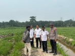 Dukung Asta Cita Presiden, Polsek TPTM Pantau Lahan Jagung 25 Hektar di Kepenghuluan Mesah