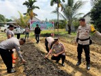 Polsek Pujud Tanam Jagung 0,3 Hektare, Wujud Dukungan Ketahanan Pangan dan Program Asta Cita Presiden