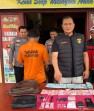 Polsek Pujud Buru Pengedar Sabu 47,23 Gram Hingga Ke Kebun Sawit