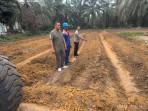 Dukung Asta Cita Presiden, Polsek Pujud Tambah Lahan Ketahanan Pangan Jagung Seluas 0,3 Hektare