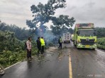 Mobil Box Tabrak Pohon di Jalinsum Sisumut, Satlantas Polres Labusel Sigap Atasi Kemacetan