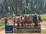 Melawan 2 warga, kebun Ivomas Cibaliung kalah di PN Rohil
