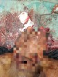 Karyawan PKS Tanjung Medan Meregang Nyawa Pihak Perusahaan Terkesan Menutupi
