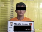 Polsek Pujud Amankan Pencuri Sawit, AKP Boy : Pelaku Residivis yang Baru Dua Bulan Keluar Lapas