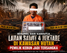 Berawal dari Karhutla, Polsek Pinggir Tetapkan Pemilik Kebun Sawit di Kawasan Hutan sebagai Tersangka