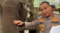 Pamit dari Riau, Komjen Herry Heryawan Titip Pesan Jaga Kelestarian Gajah Sumatra