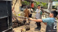 Polsek Pujud Cek RAM Sawit Diduga Terima Buah Curian, Warga Diimbau Waspada Narkoba