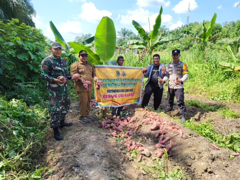 Polsek Pujud Laksanakan Kegiatan Ketahanan Pangan Dukung Program Asta Cita Presiden RI