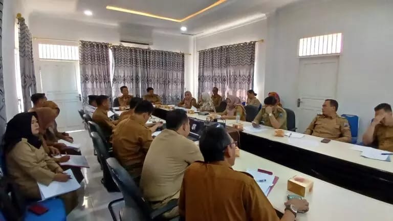 Sinkronisasi Pelayanan Kepemudaan, Pemkab Lamsel Gelar Rakor Bahas RAD dengan Pusat