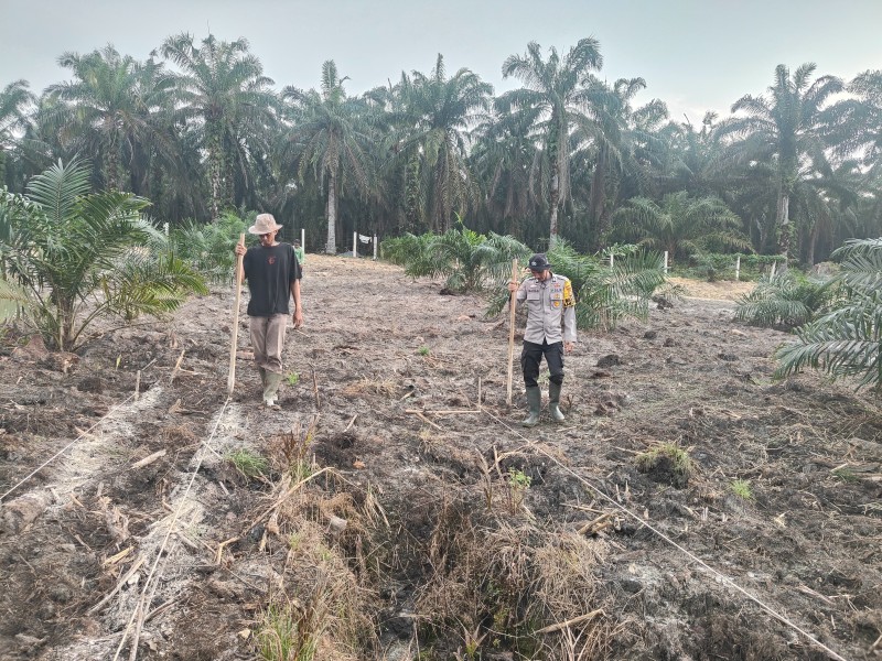 Polsek Mandau Percepat Transformasi Lahan Jagung, Dukung Target Swasembada Pangan Nasional