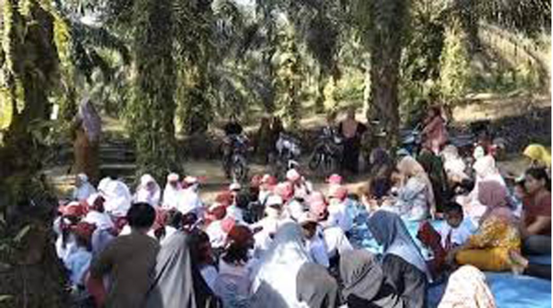 Dampak Penertiban Kawasan TNTN : Kelas Jauh Tak Menerima Siswa Baru, Murid SD 20 Toro Jaya Belajar di Bawah Pohon Sawit