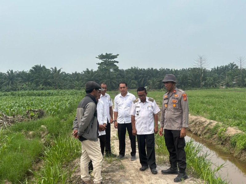 Dukung Asta Cita Presiden, Polsek TPTM Pantau Lahan Jagung 25 Hektar di Kepenghuluan Mesah