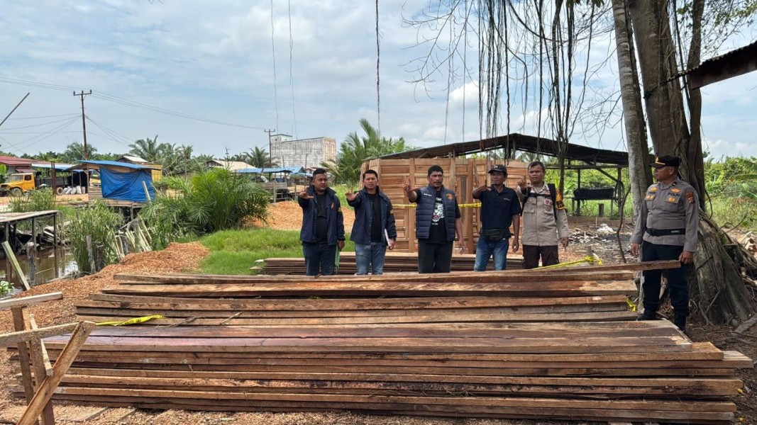 Diduga Olah Kayu Ilegal di Sinaboi, Polisi Amankan 2 Orang dan Ratusan Kayu Olahan