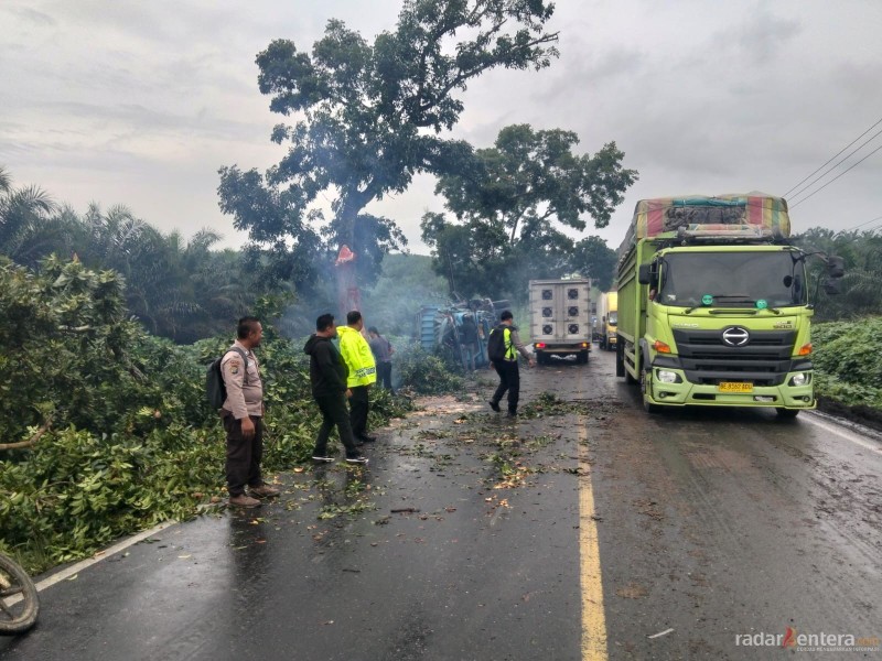 Mobil Box Tabrak Pohon di Jalinsum Sisumut, Satlantas Polres Labusel Sigap Atasi Kemacetan