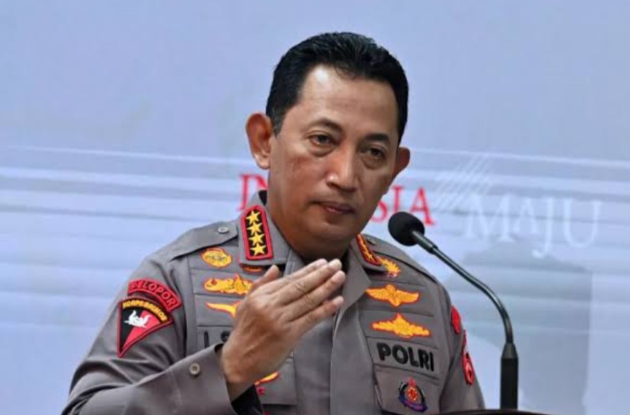 Arena Sabung Ayam Marak di Sulawesi Tengah, Kapolda Diminta Tindak Tegas