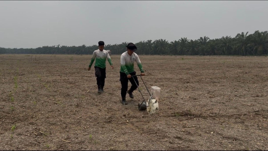 Polsek TPTM Bersama Tim Biro SDM Polda Riau Tanam Ulang Jagung di Lahan 5 Hektare