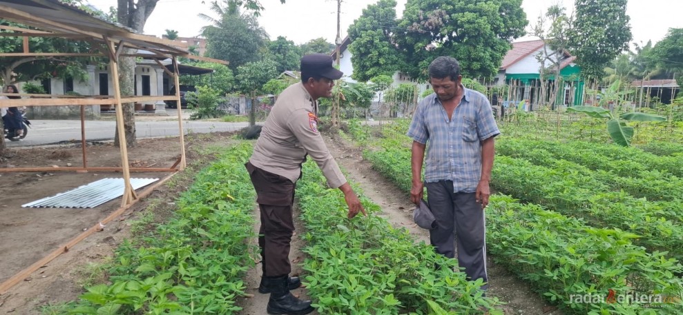 Polsek Pinggir Dorong Ketahanan Pangan Keluarga Melalui Program Pekarangan Bergizi