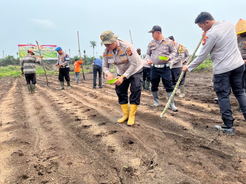 Polsek Bukit Kapur Tanam Jagung di Lahan 1 Hektare, Dukung Swasembada Pangan 2026