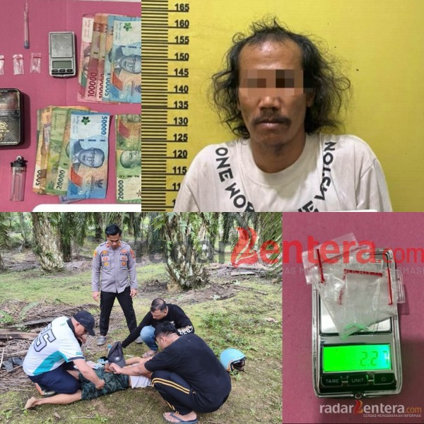 Digerebek di Kebun Sawit, Bandar Sabu Ditangkap: Kapolsek Bagan Sinembah Pimpin Langsung Operasi