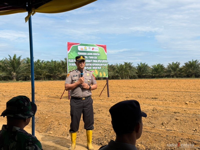 Polsek Pujud Tanam Jagung 2 Hektare, Dukung Program Ketahanan Pangan Asta Cita Presiden