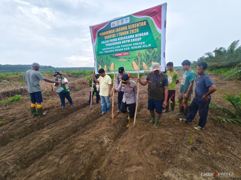 Menuju Swasembada Jagung 2026, Polsek Pujud Maksimalkan Lahan Produktif