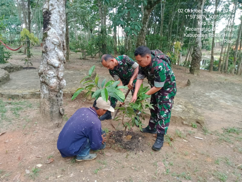 Bersama Warga, Babinsa Koramil 03/Bgs Tanam Pohon untuk Penghijauan