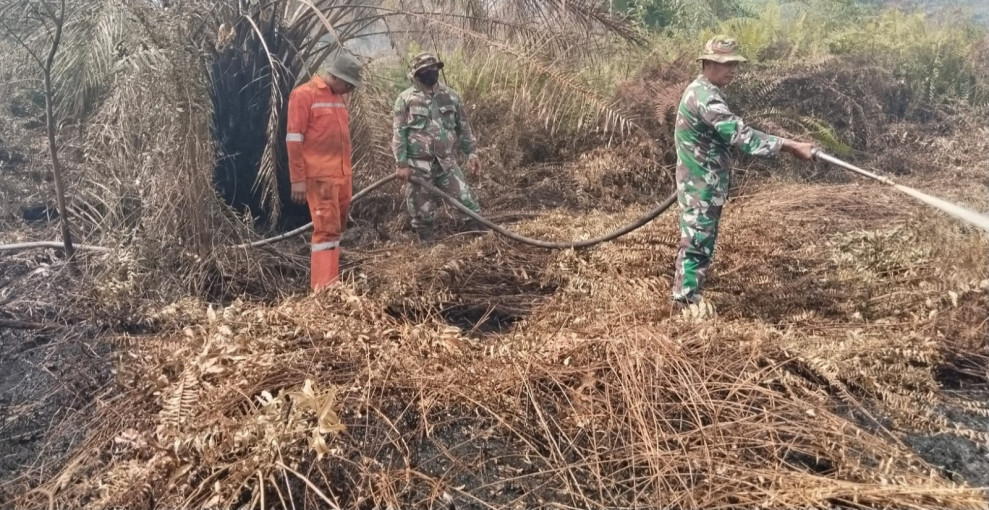 Koramil 02/TP dan Tim Gabungan Terus Berjibaku Lakukan Pemadaman dan Pendinginan Karhutla