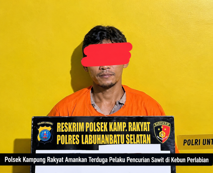 Nekat Curi Buah Sawit, Warga Desa Air Merah Diamankan Polsek Kampung Rakyat