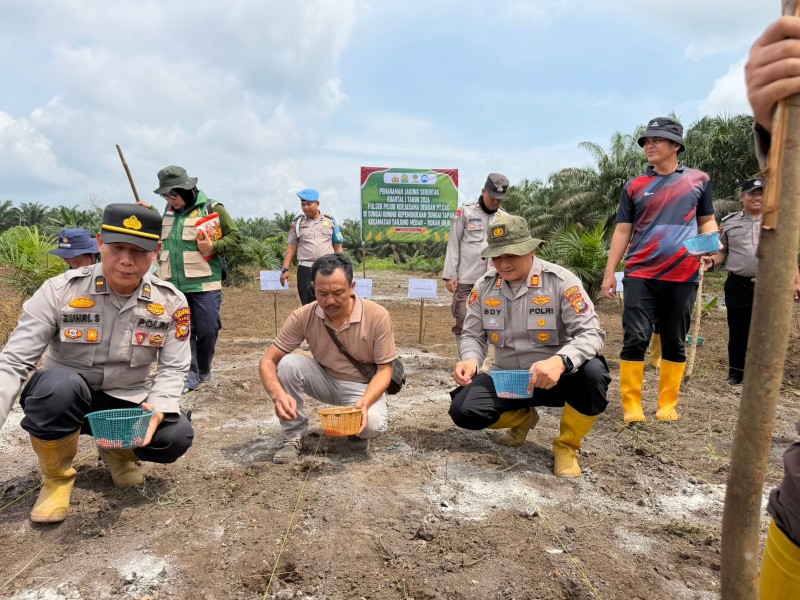 Polsek Pujud Tanam Jagung 2 Hektare, Dukung Ketahanan Pangan dan Program Asta Cita Presiden