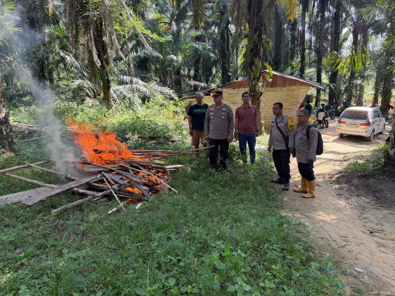 Gubuk Diduga Sarang Narkoba di Pondok Kresek Disisir Polisi, Kapolsek Pujud Turun Langsung