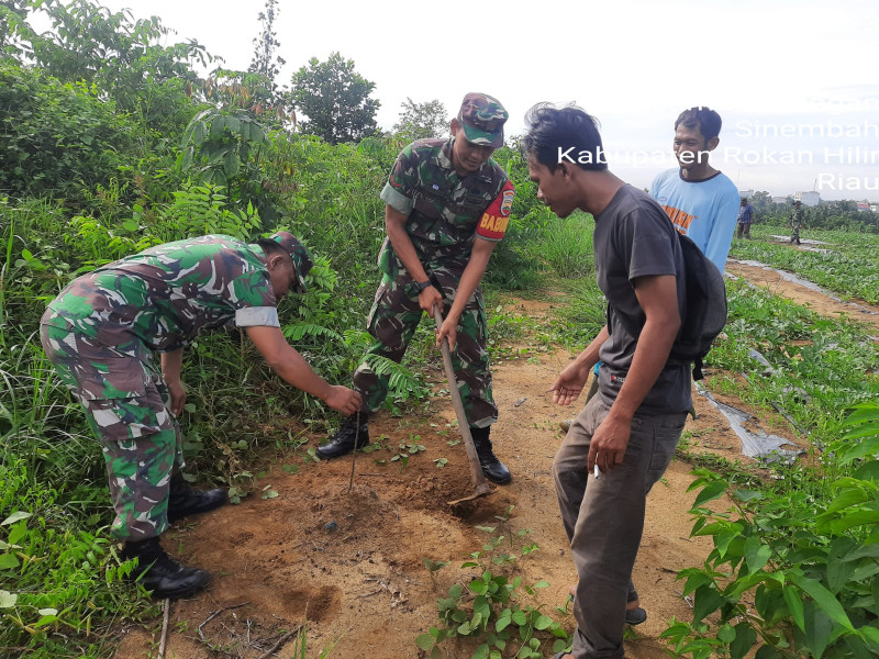 Babinsa Koramil 03/Bgs Tanam Pohon Penghijauan Bersama Warga