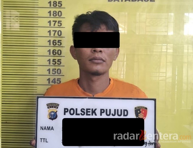 Polsek Pujud Amankan Pencuri Sawit, AKP Boy : Pelaku Residivis yang Baru Dua Bulan Keluar Lapas