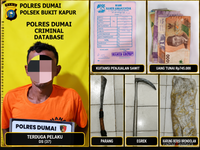 Diduga Curi Buah Sawit di Kebun Warga, Pria 37 Tahun Diamankan Polsek Bukit Kapur