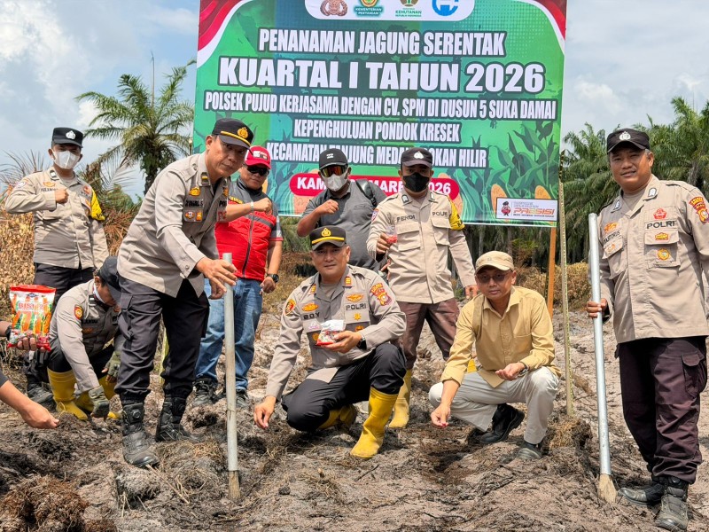 Dukung Asta Cita Presiden, Polsek Pujud dan CV SPM Tanam Jagung di Tanjung Medan