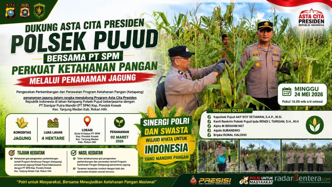 Dukung Asta Cita Presiden, Polsek Pujud dan PT SPM Intensif Rawat Lahan Jagung Ketahanan Pangan di Tanjung Medan